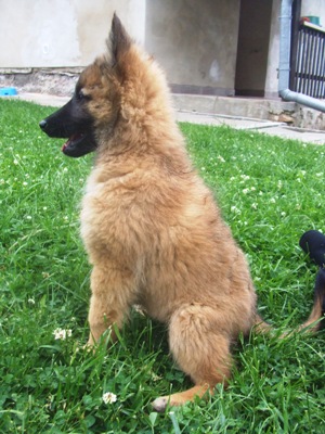 kali28.5.2009 149.jpg